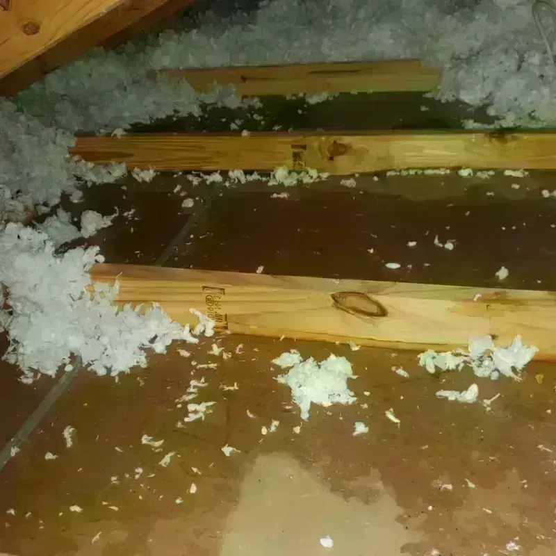 Attic Water Damage in Pennington County, MN