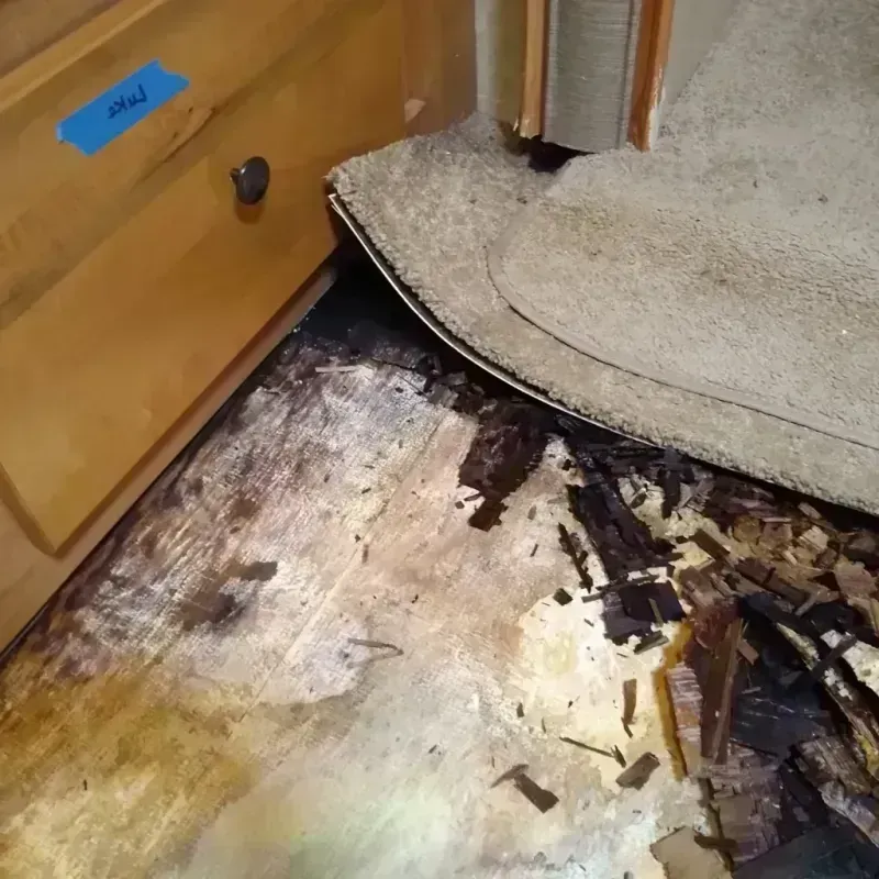 Wood Floor Water Damage in Pennington County, MN